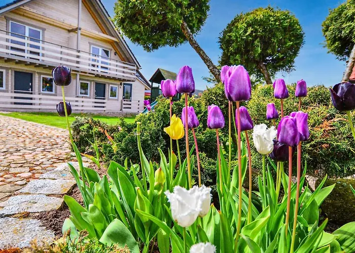 Gorgeous In With Wifi Дом отдыха